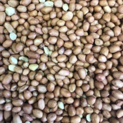 Duvo Arachides Pelées 25 Kg