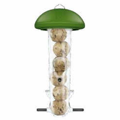 Mangeoire Lona M6 - Vert