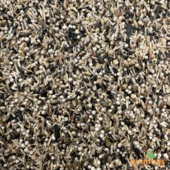 Mélange De Graines Pour Tarins Américains Et Européens 15kg - Hoebre -Deli Nature Magasin melange de graines pour tarins americains et europeens 15kg 2